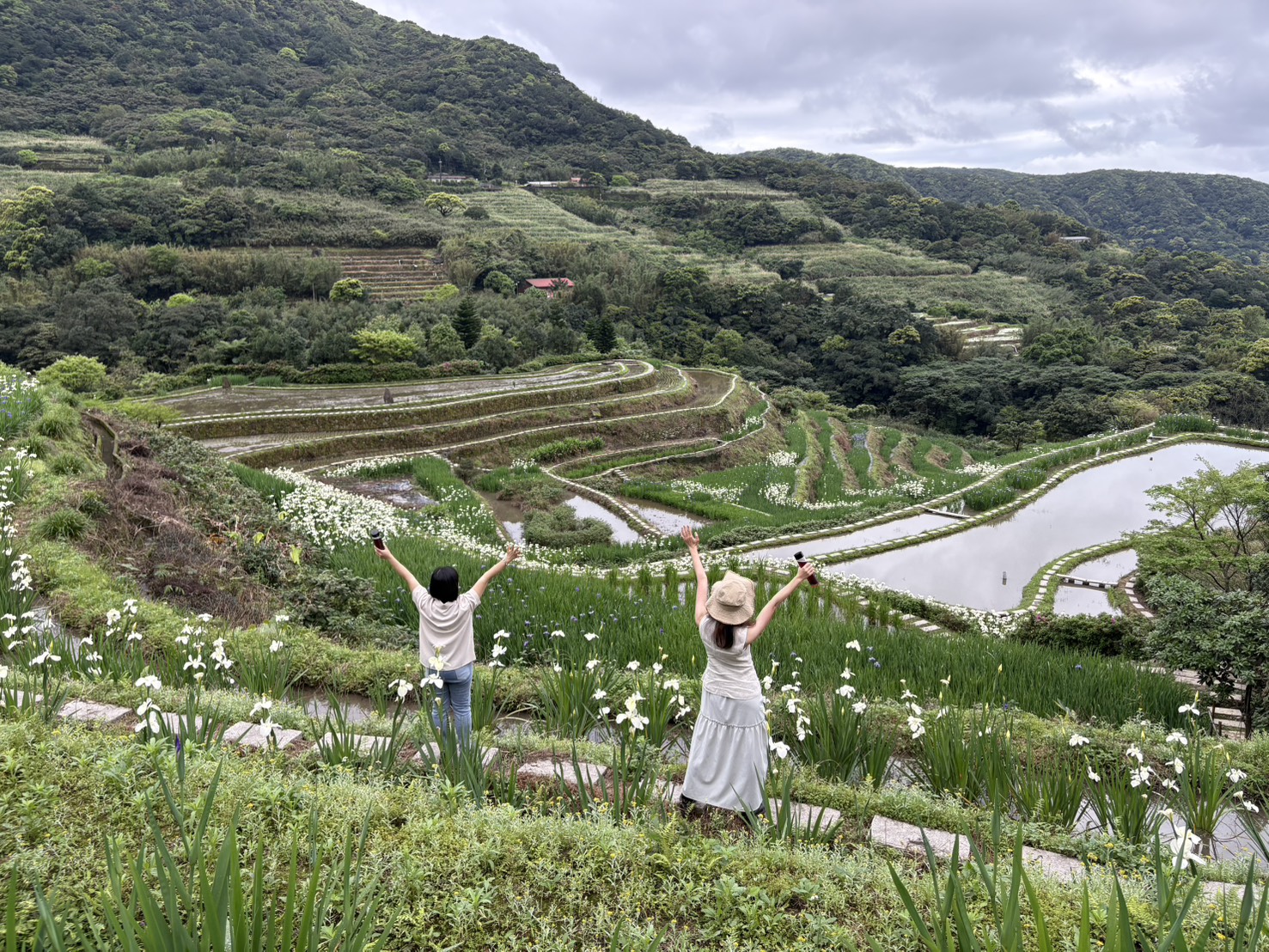 鳶尾花遇見嵩山百年梯田　新北石門嵩山春季限定