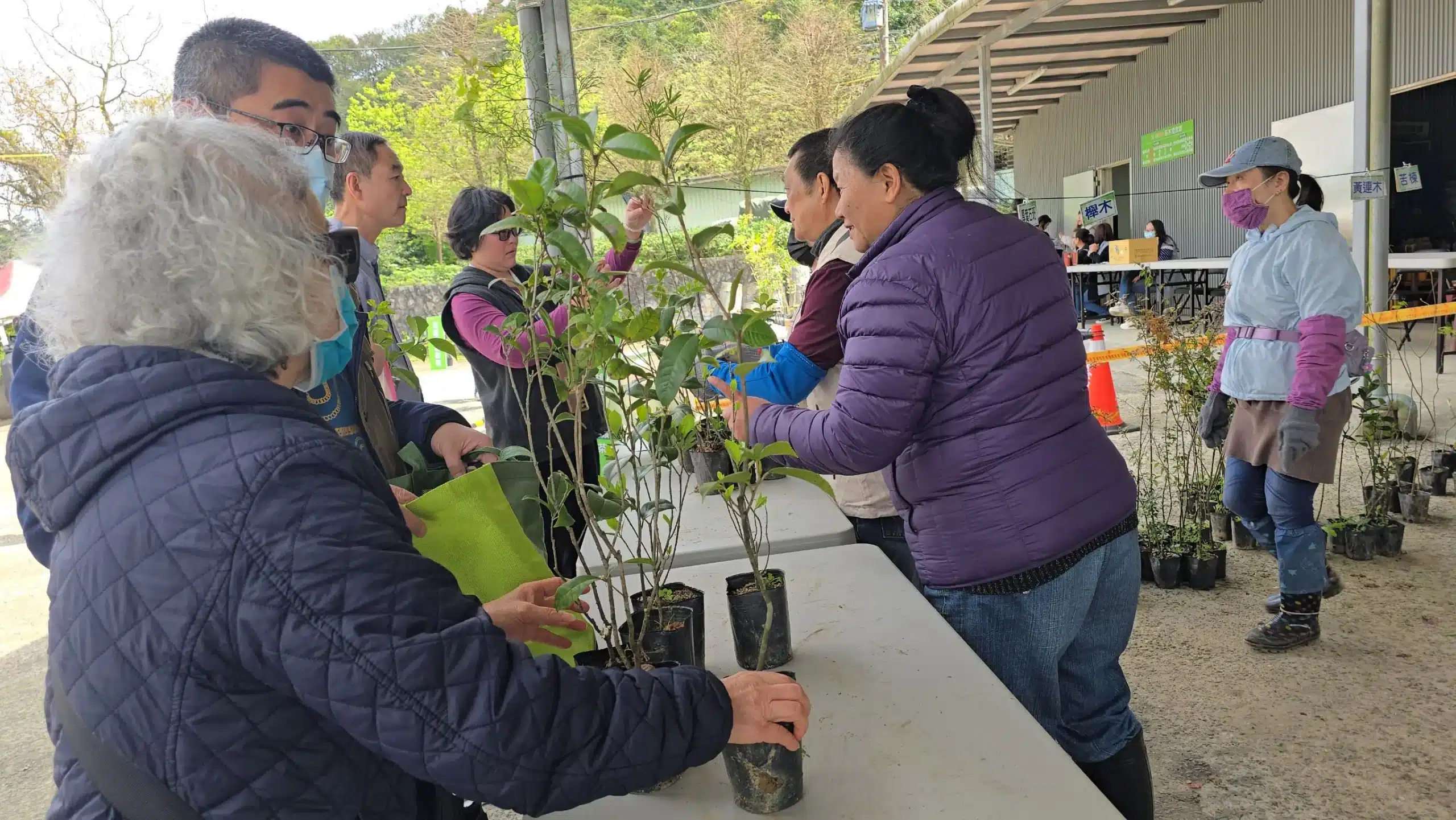 基隆「發票換樹苗」人氣爆棚　3509株苗木半日搶光