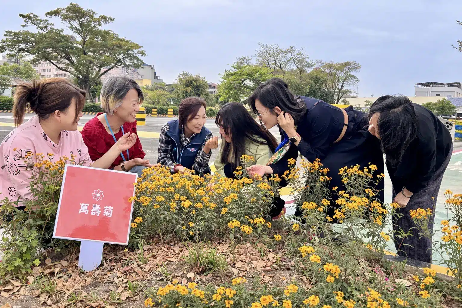 「還記得那株小苗嗎？」 植樹節前夕　高雄區監理所邀民眾一同見證花開時刻