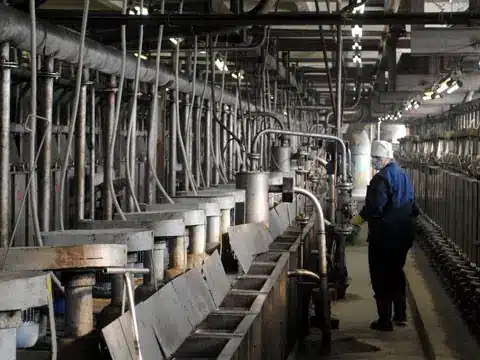 懷揣 6.9 億噸「工業黃金」卻挖不出？土耳其稀土夢碎技術封鎖！美土密約疑雲引爆政治內鬥