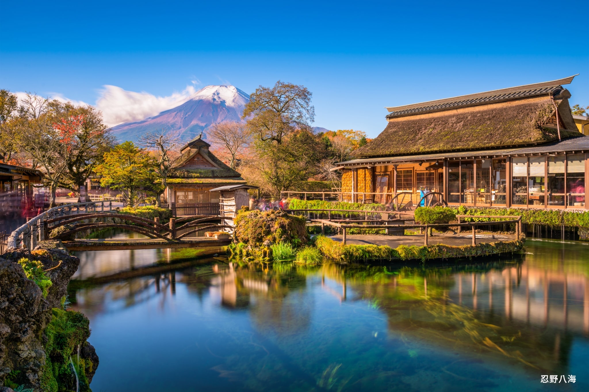航典國際旅行社 沖繩價˙玩東京 母親月感動特惠 只要NT,900