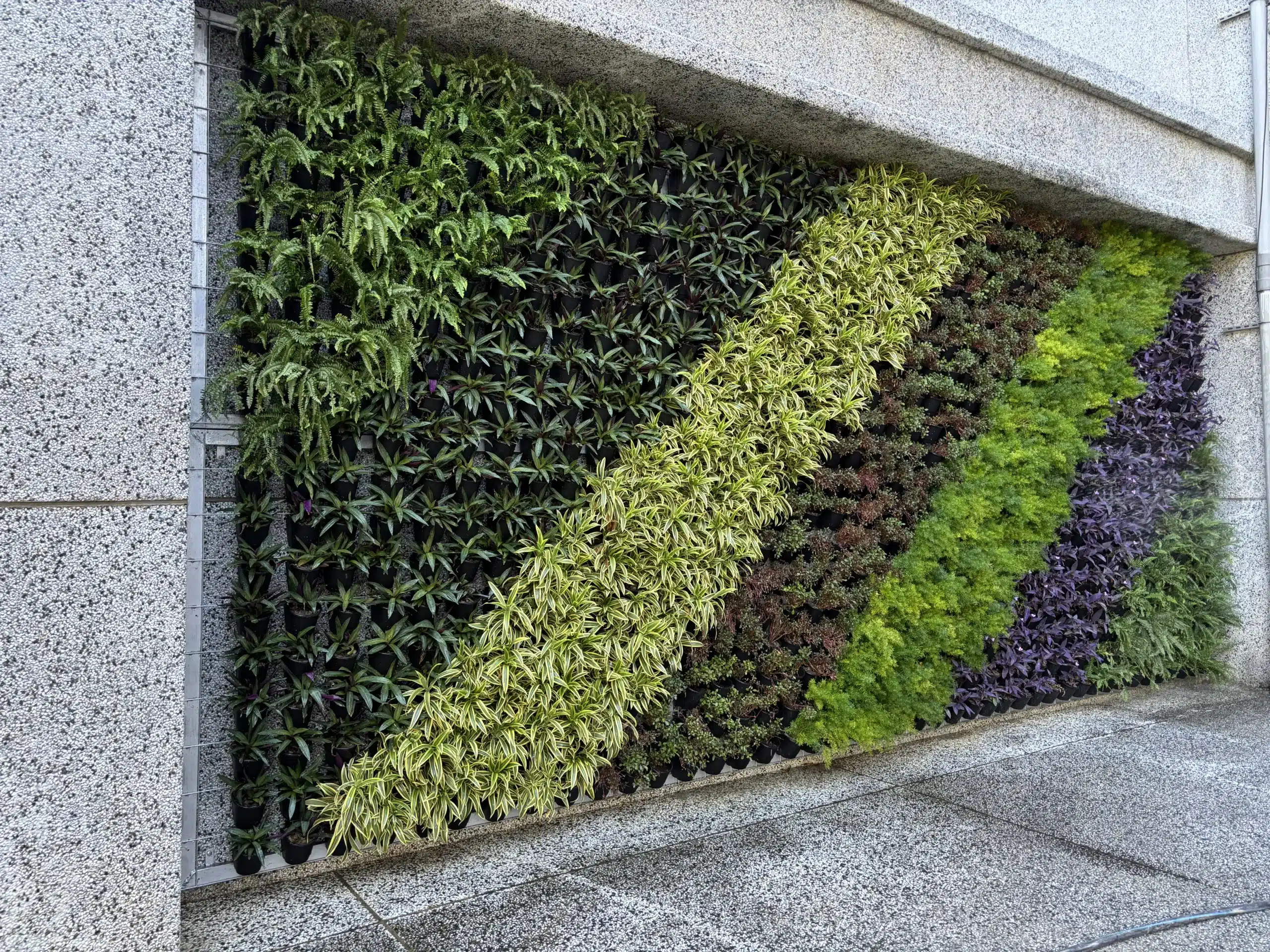 中市環保局推「廣植栽、廣植林」 輔導學校、社區、企業共同打造花園城市