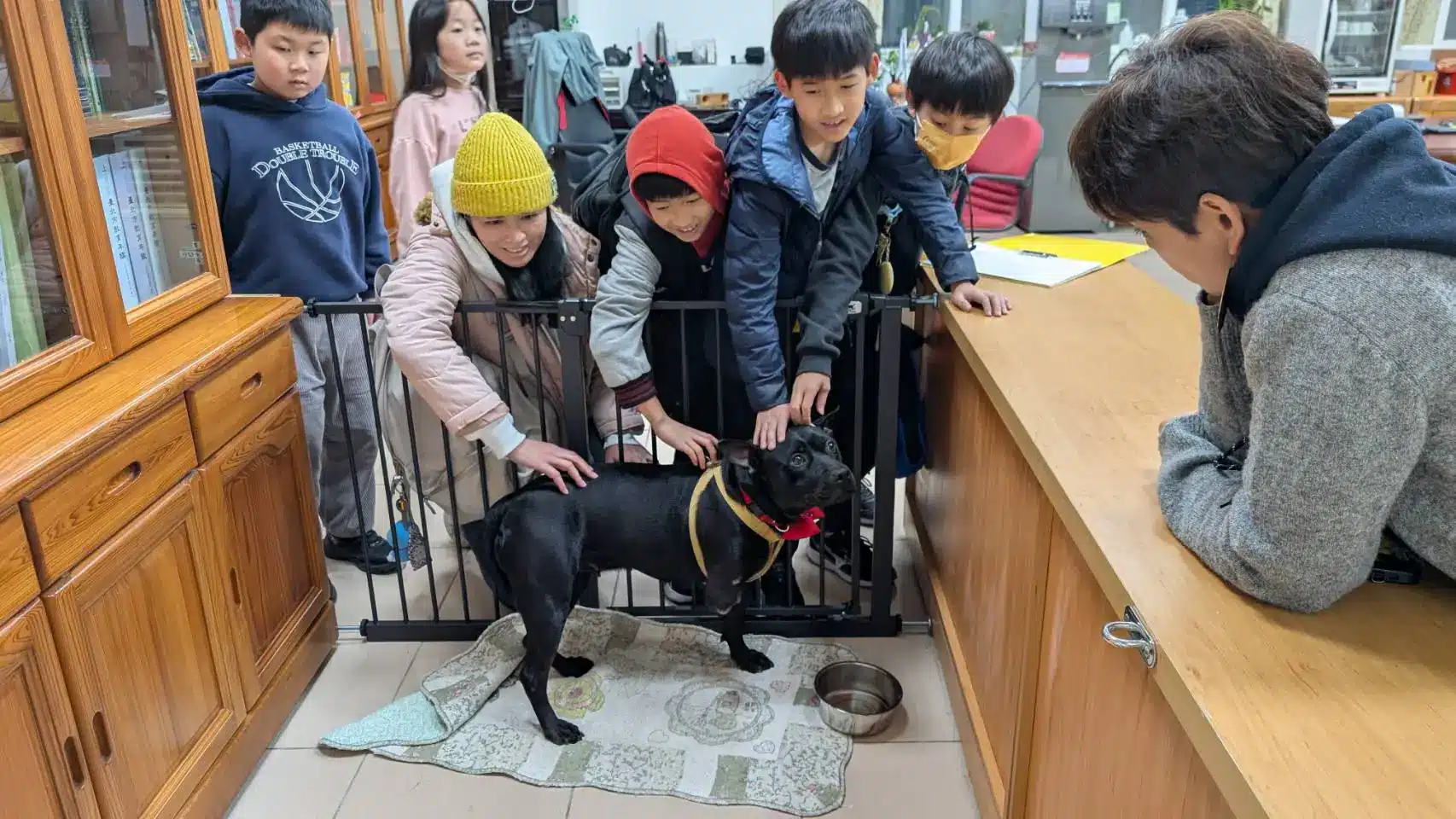 湖田實小三肢校犬「安生」進駐校長室　打造校園溫暖生命教育
