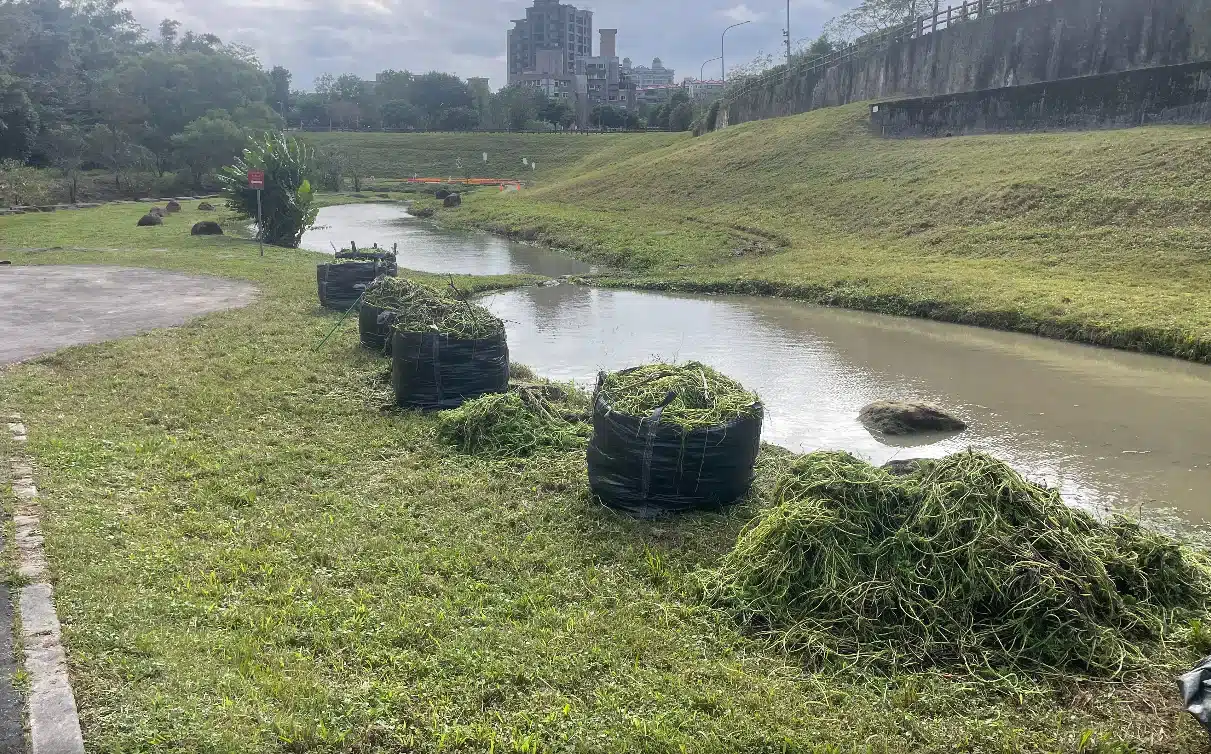 防洪升級　大溝溪生態治水園區完成清疏
