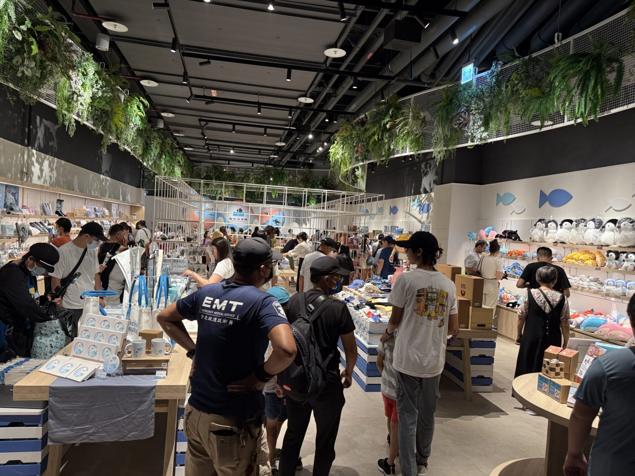 台中海洋館今日開館！　民眾熱情湧入見證六大首創亮點