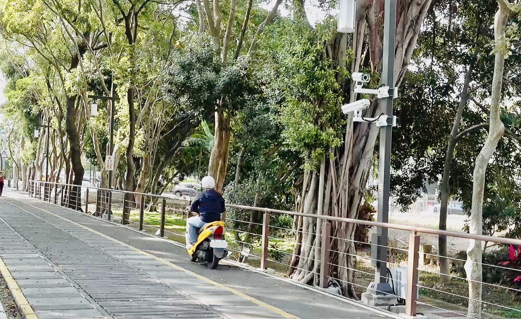 嘉油鐵馬道大聲公 3月1日上線 違規件數下降 嘉油鐵馬道大聲公 3月1日上線 違規件數下降