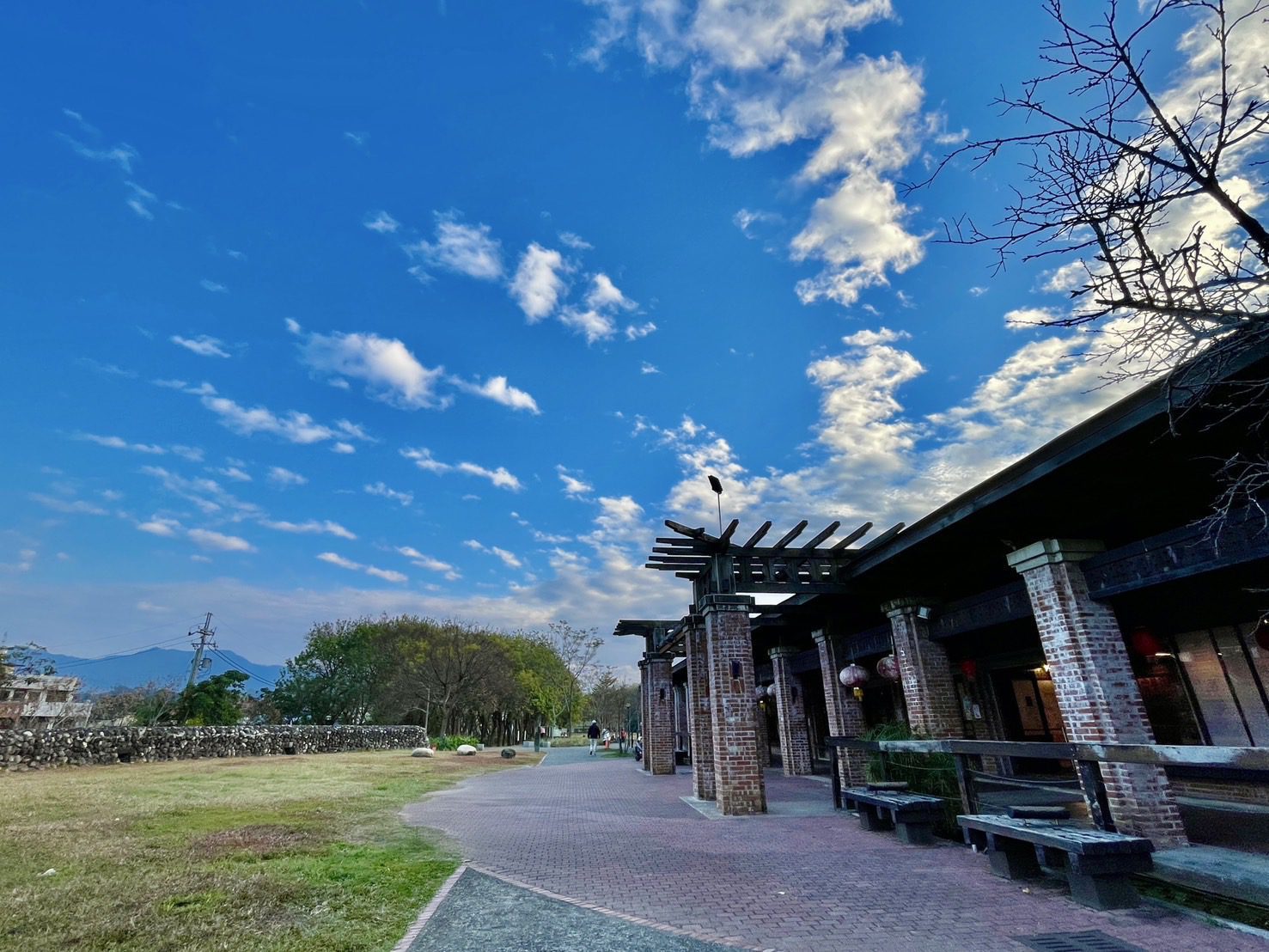蛇現幸福迎新春 東勢客家文化園區初四開館 蛇現幸福迎新春 東勢客家文化園區初四開館
