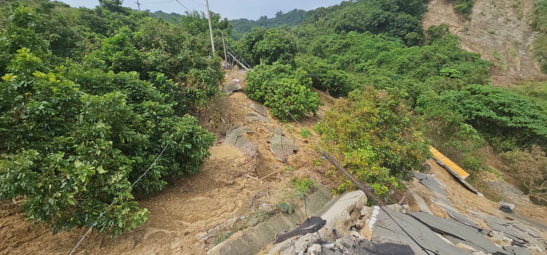 霧峰暗坑巷因豪雨崩塌　水利局緊急搶修便道助農民採收龍眼