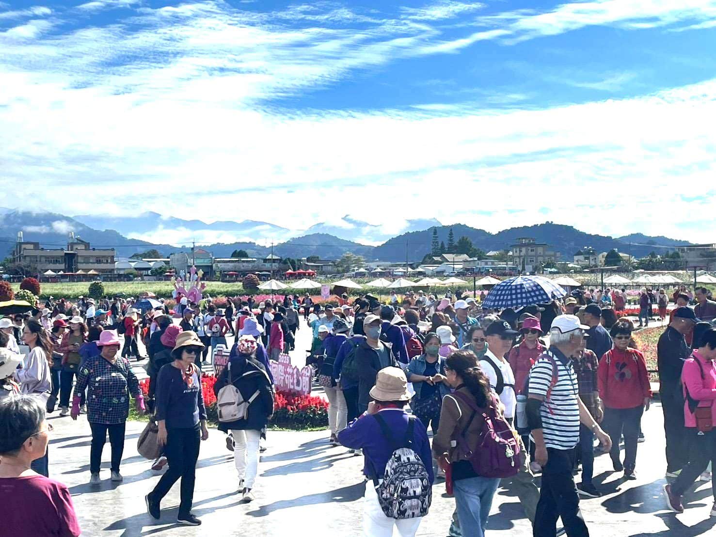 花海花毯節人氣旺、在地特產500條杏鮑菇香腸免費送　橘色波斯菊、紅色百日草、本週大爆發