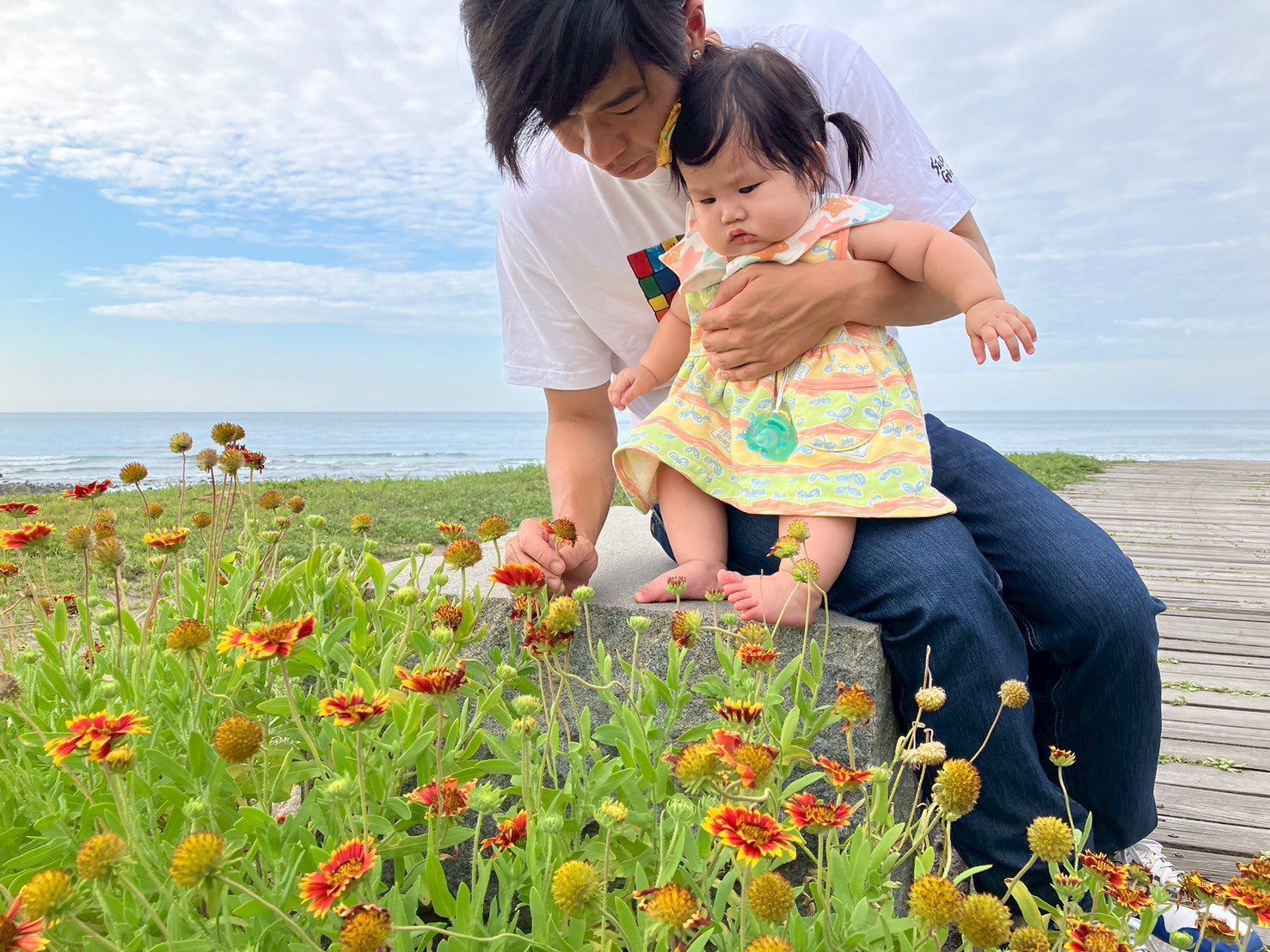 夏日新北石門、三重 天人菊百日草花海秘境療癒綻放中 – 睿傳媒 Rightmedia