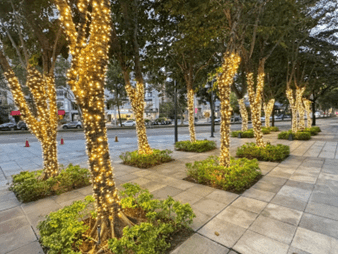 阿囉哈LED總匯點亮聖誕光影季　用專業打造最溫暖的節慶氛圍