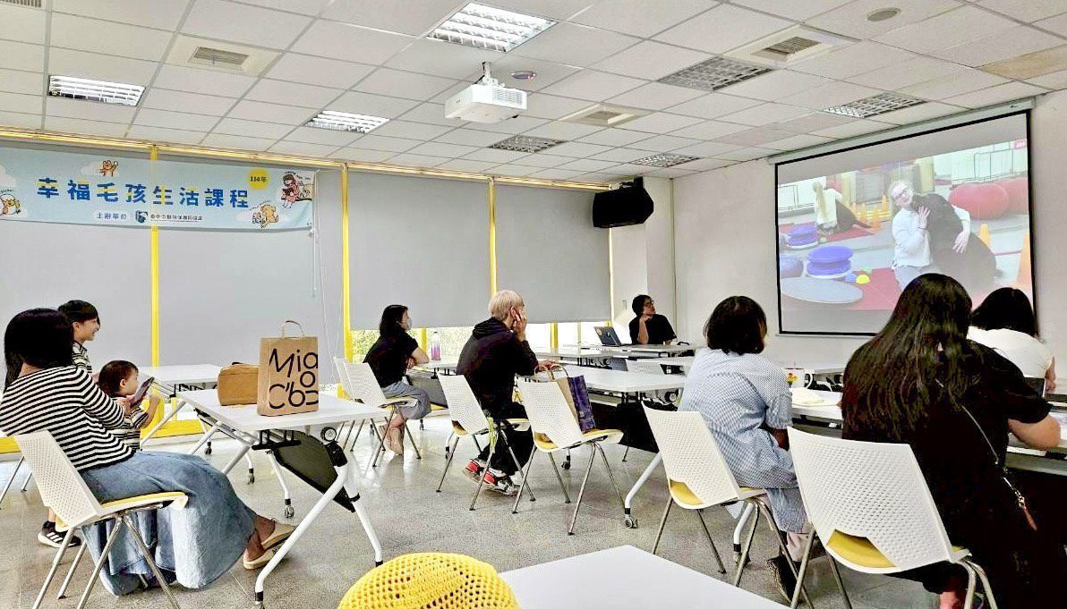 毛孩的多重宇宙！　從電影中看見牠們的無限可能與生命啟發