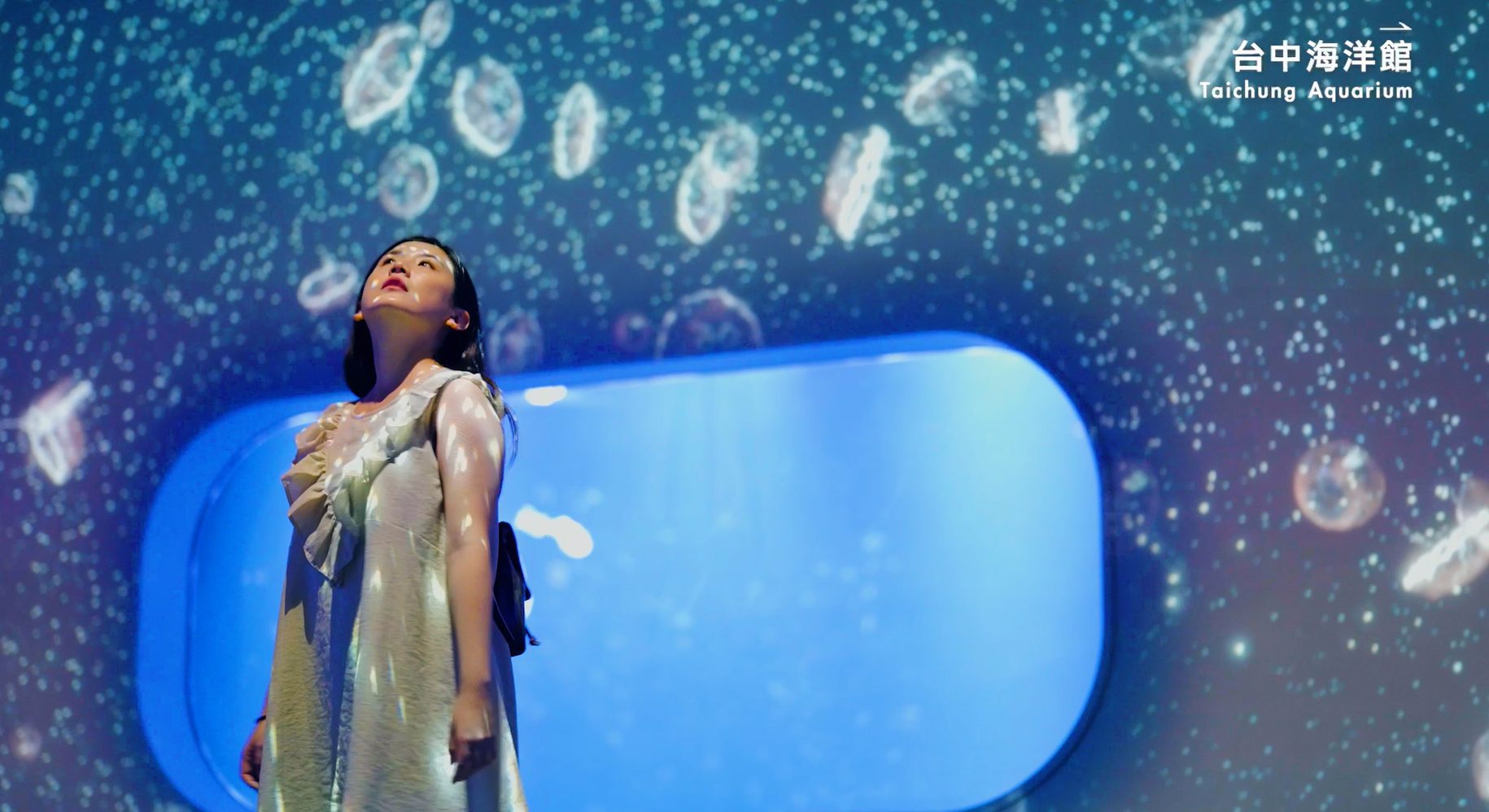 台中亮點行程大公開！搭台灣好行輕鬆逛鳥博、賞鳥、看海趣