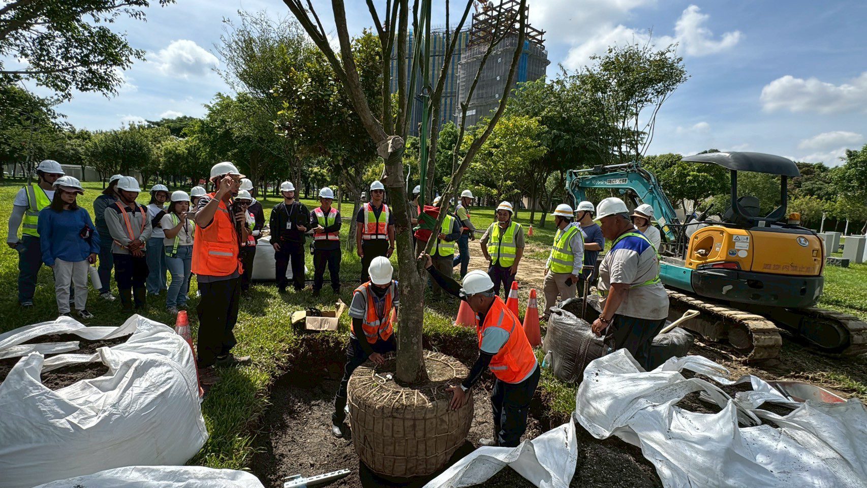 產官學力挺創新！　首次導入「空氣盆」 中央公園全樹型示範移種植觀摩獲好評