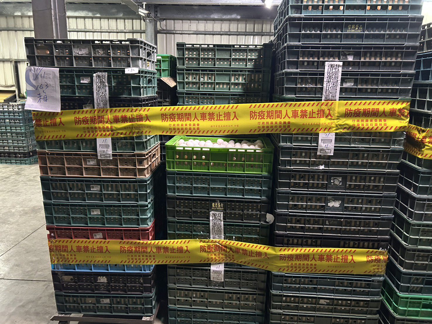 彰化蛋雞場再檢出芬普尼　縣府封場禁運全數禽蛋