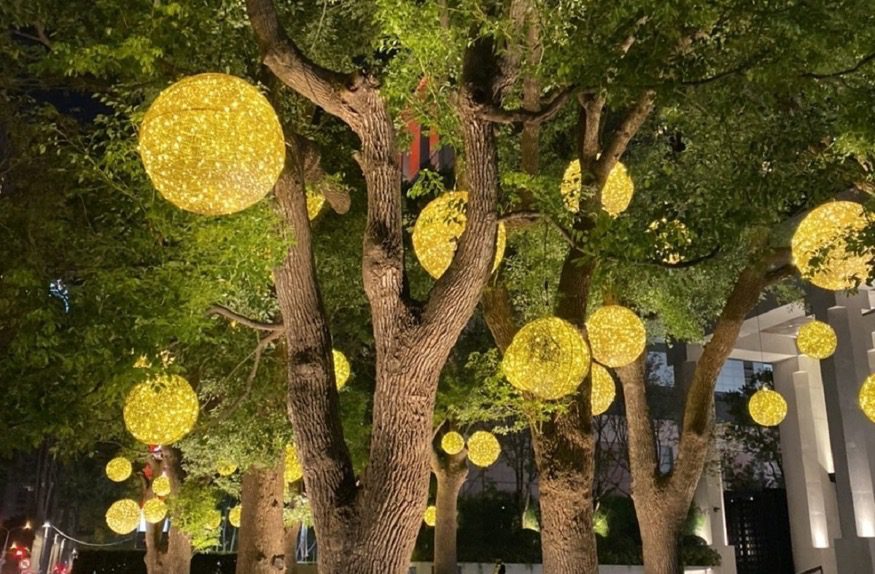 一起點亮台中！　中市行道樹12/1起免費懸掛燈飾 打造最美節慶城市！