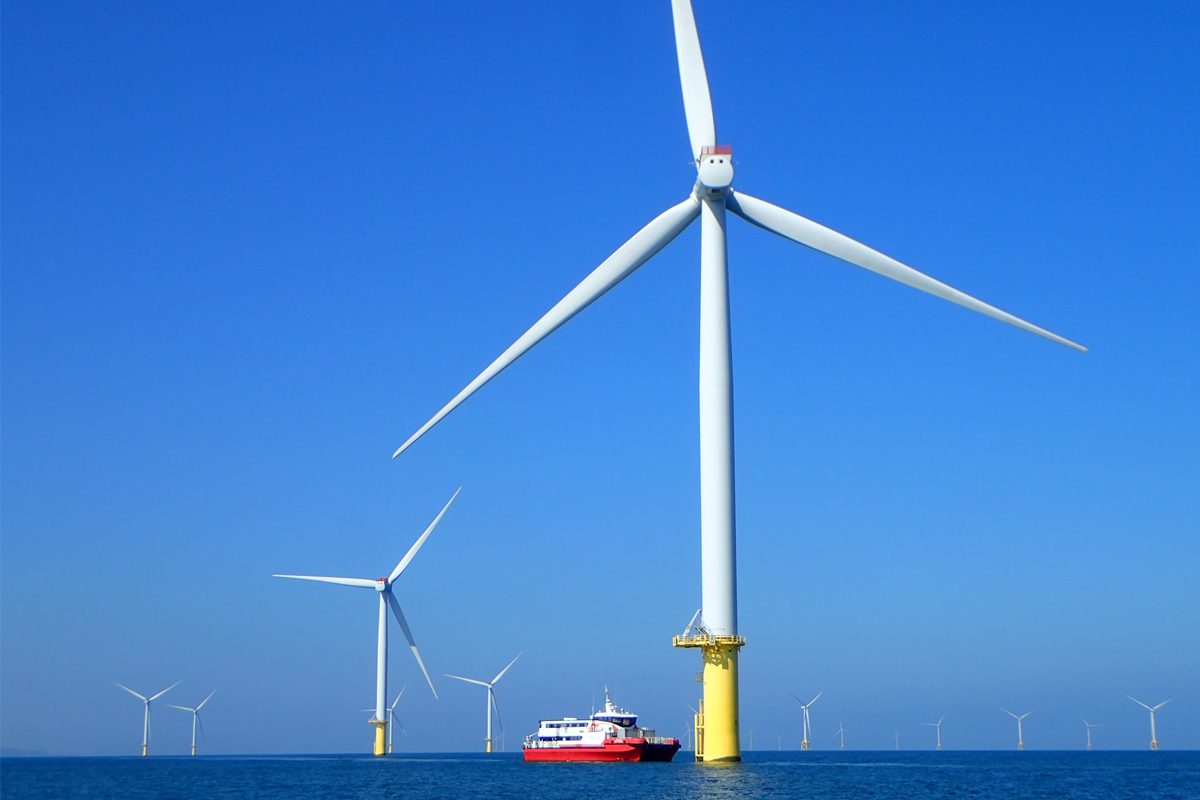 離岸風場成海洋綠洲 海大研究證實臺灣風機魚礁具備生態保育效益 離岸風場成海洋綠洲 海大研究證實臺灣風機魚礁具備生態保育效益