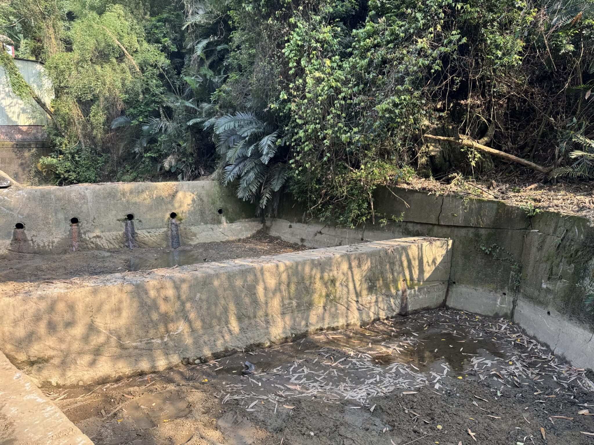 汛前維護勝於災後搶修　中市水利局加強野溪、滯洪池清疏維護作業