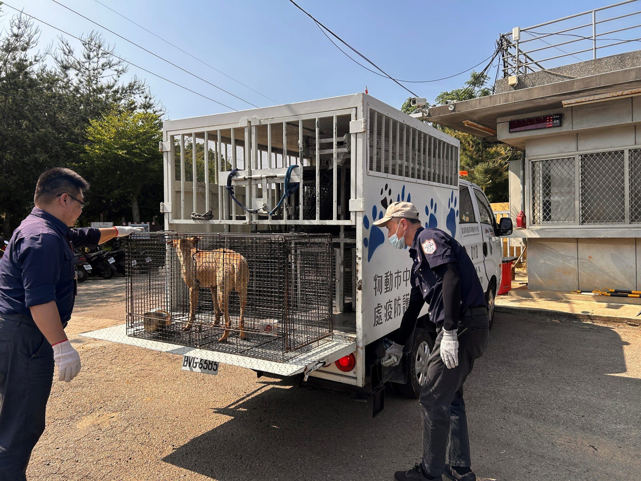 抓到了！　中市清潔隊追查丟垃圾亂象 幕後主謀竟是「牠」