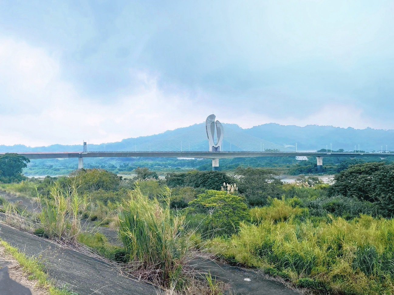 東勢石岡最新打卡景點！　「鯉魚脊背橋」攝影師網紅夯拍照