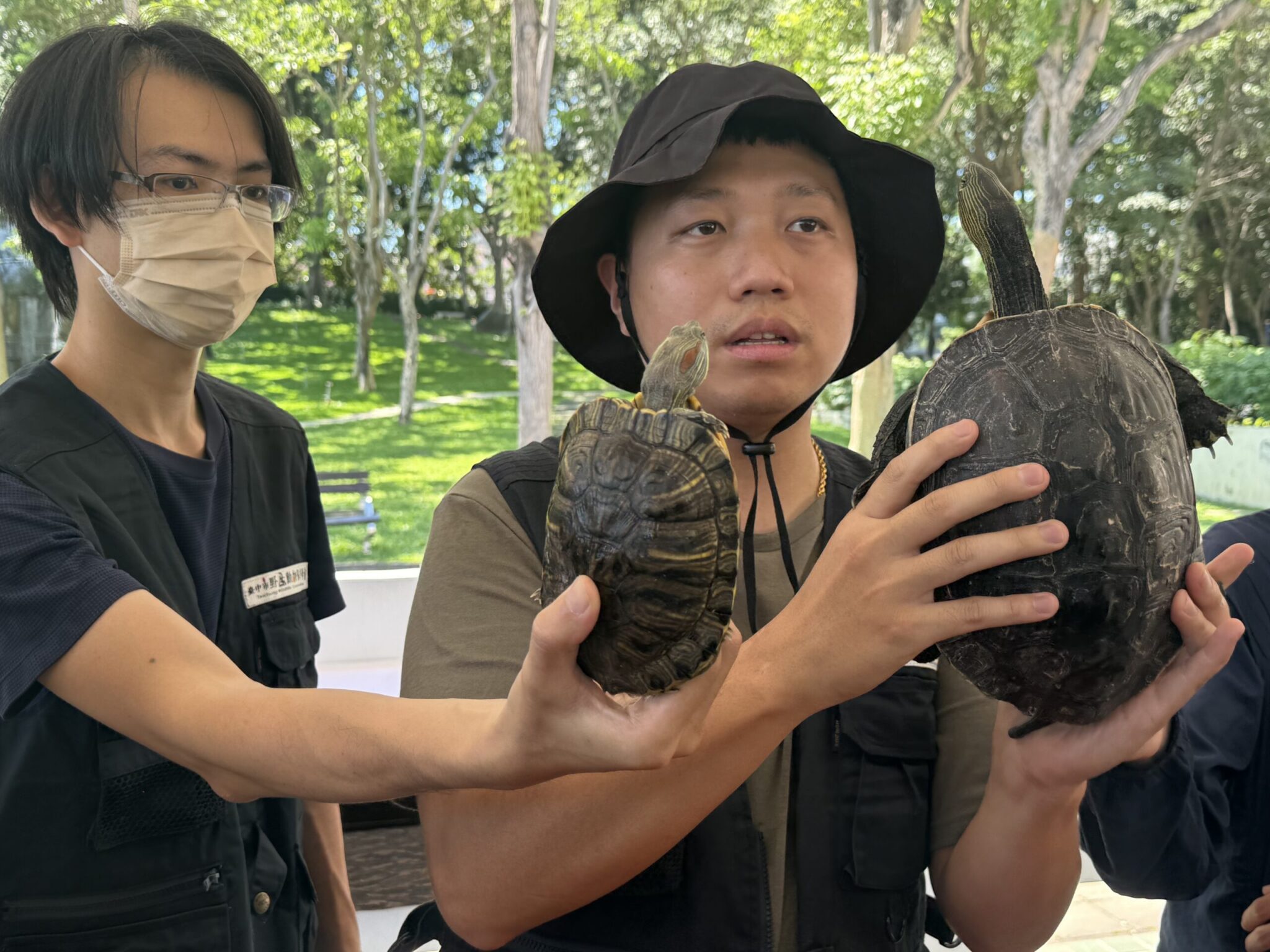 守護原生生態提升保育行動力！ 　中市建設局辦「斑龜辨識教育訓練」