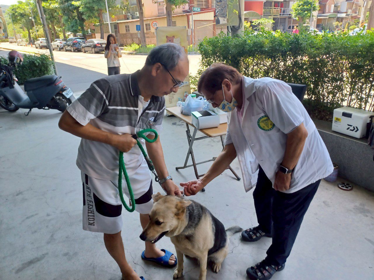 疫起動起來！　中市動保處：帶毛孩施打狂犬病疫苗