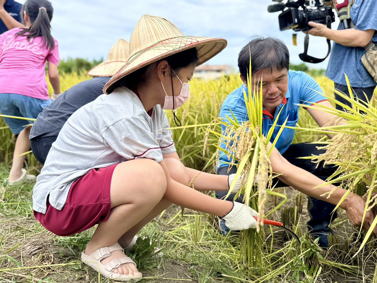 大里區農會舉辦食農教育活動　學生親手割稻體驗一日農夫超有感！