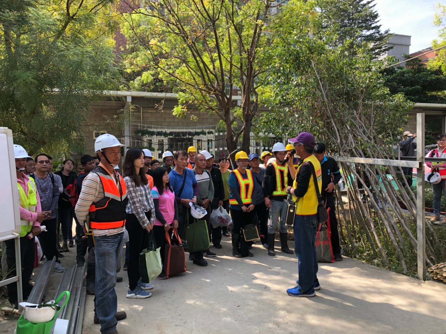 樹木健康我把關！　中市建設局全面防治褐根病守護市民安全