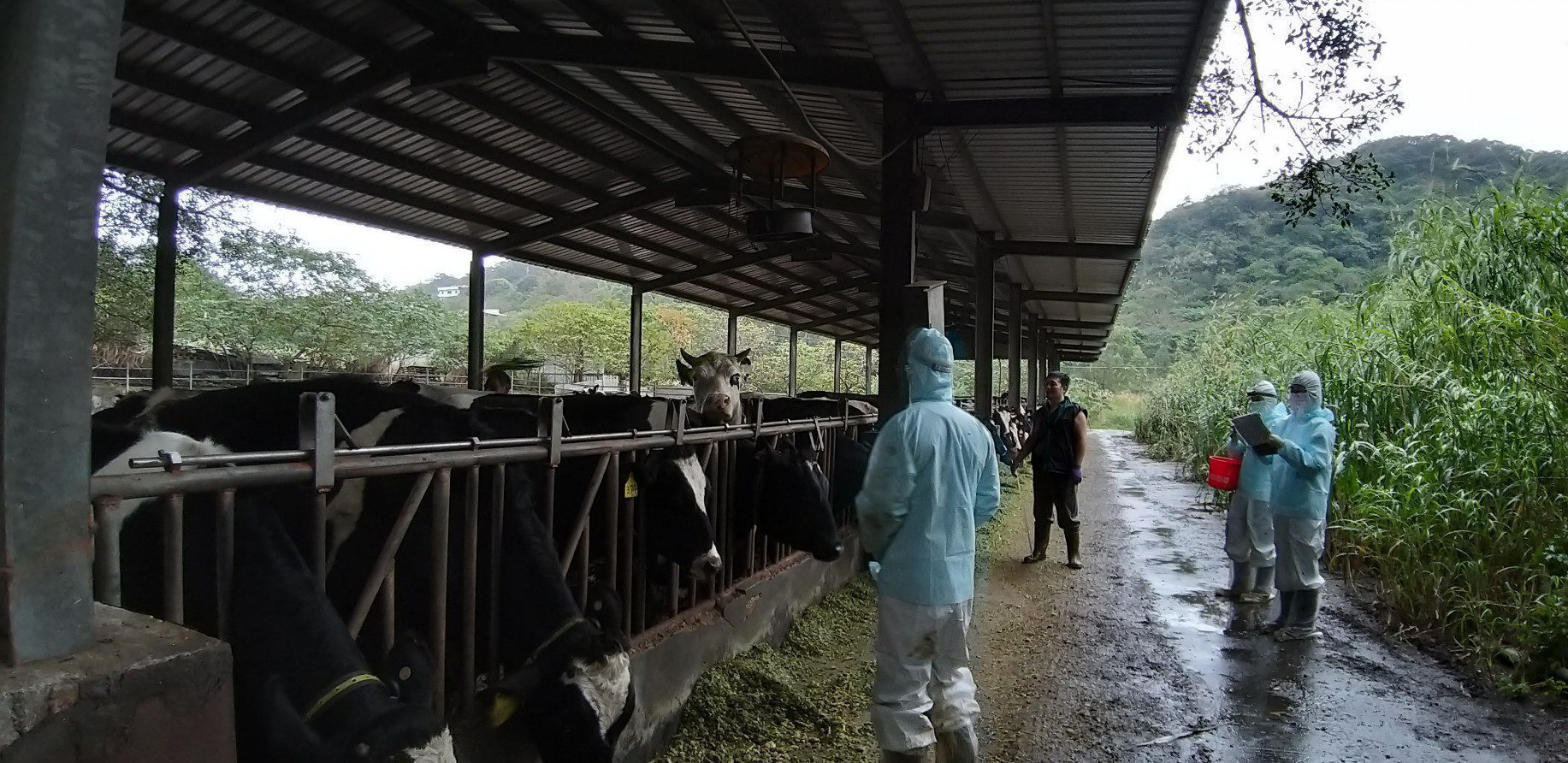 世界結核病日　 新北市動保處為鮮乳食品安全把關　結核病零檢出