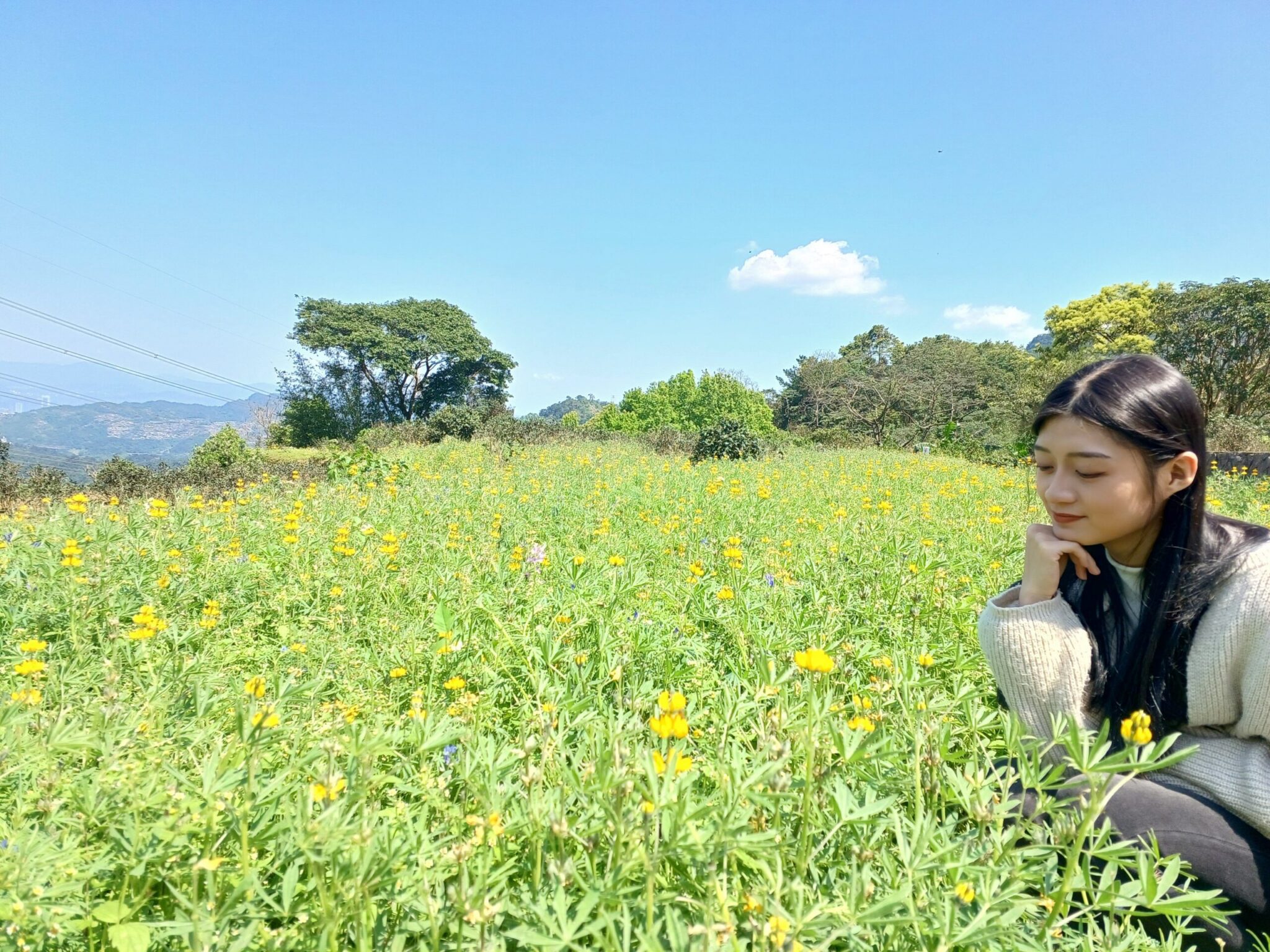 假日小旅行首選　貓空茶鄉體驗慢活時光