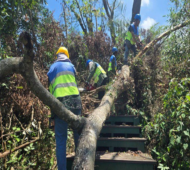 確保遊客安全　蘭潭後山步道延後開放至8月中旬評估