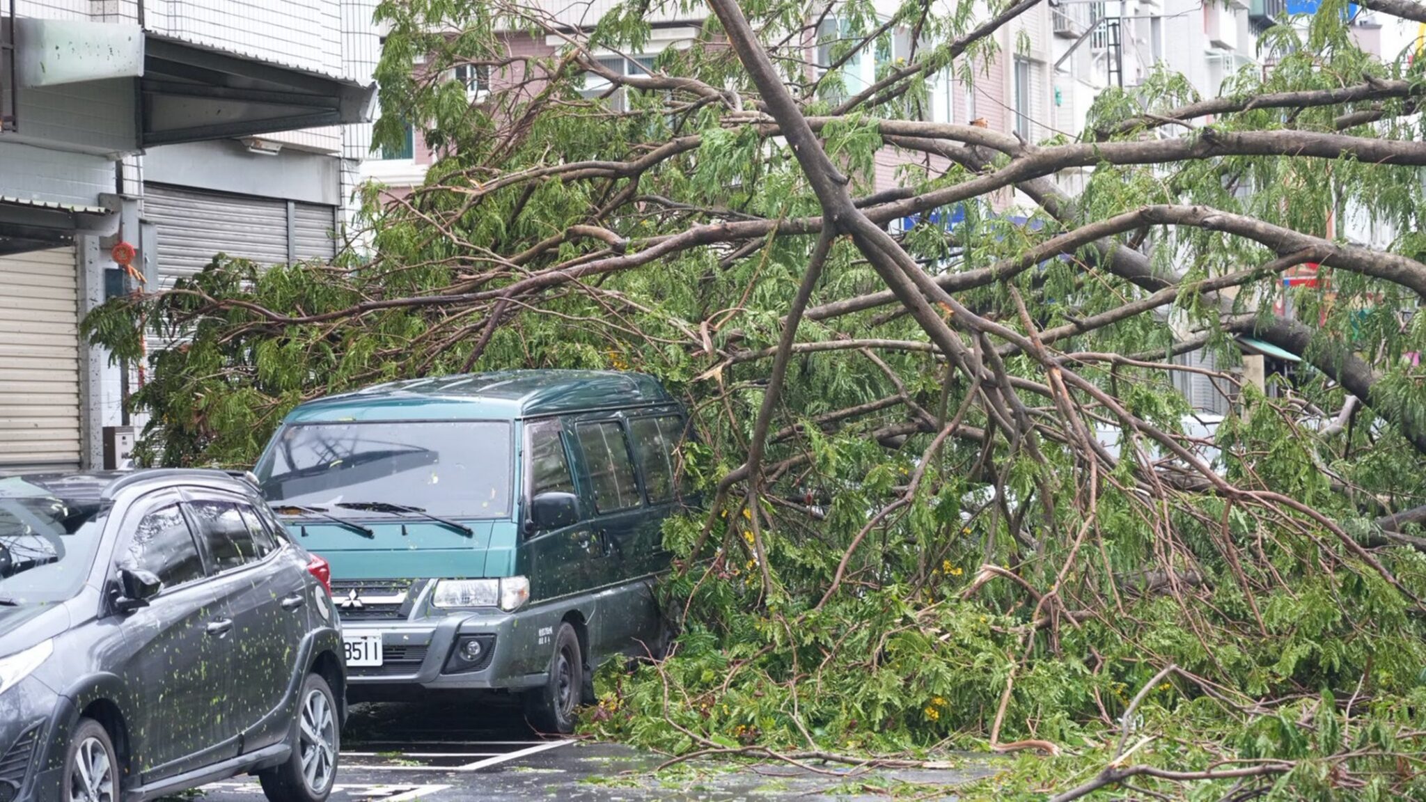 嘉義市啟動受災店家援助方案　黃敏惠：從寬從速從簡辦理