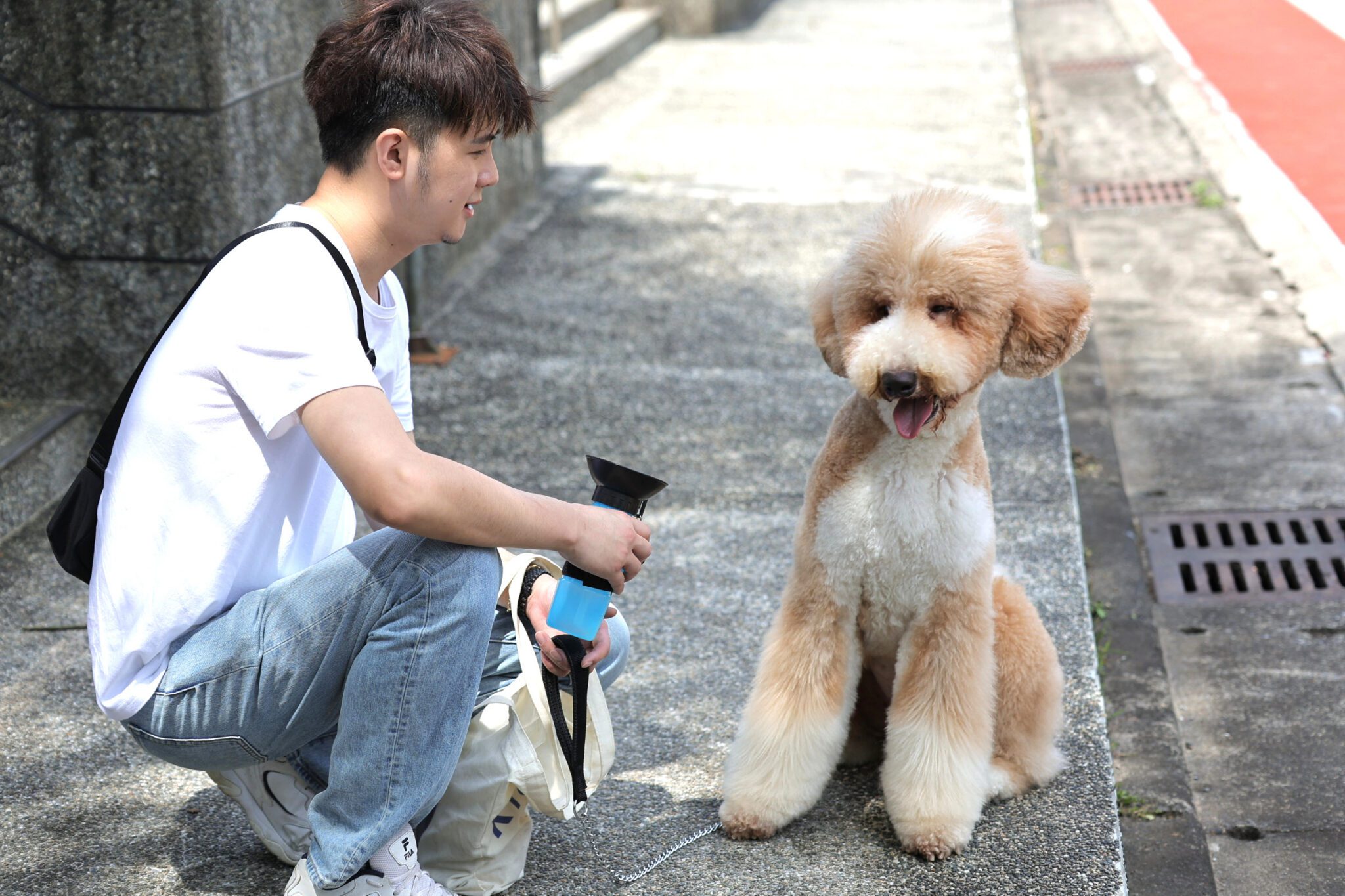 愛牠就別讓牠隨「便」 基隆環保局:狗便不清最高罰6千元 愛牠就別讓牠隨「便」 基隆環保局:狗便不清最高罰6千元