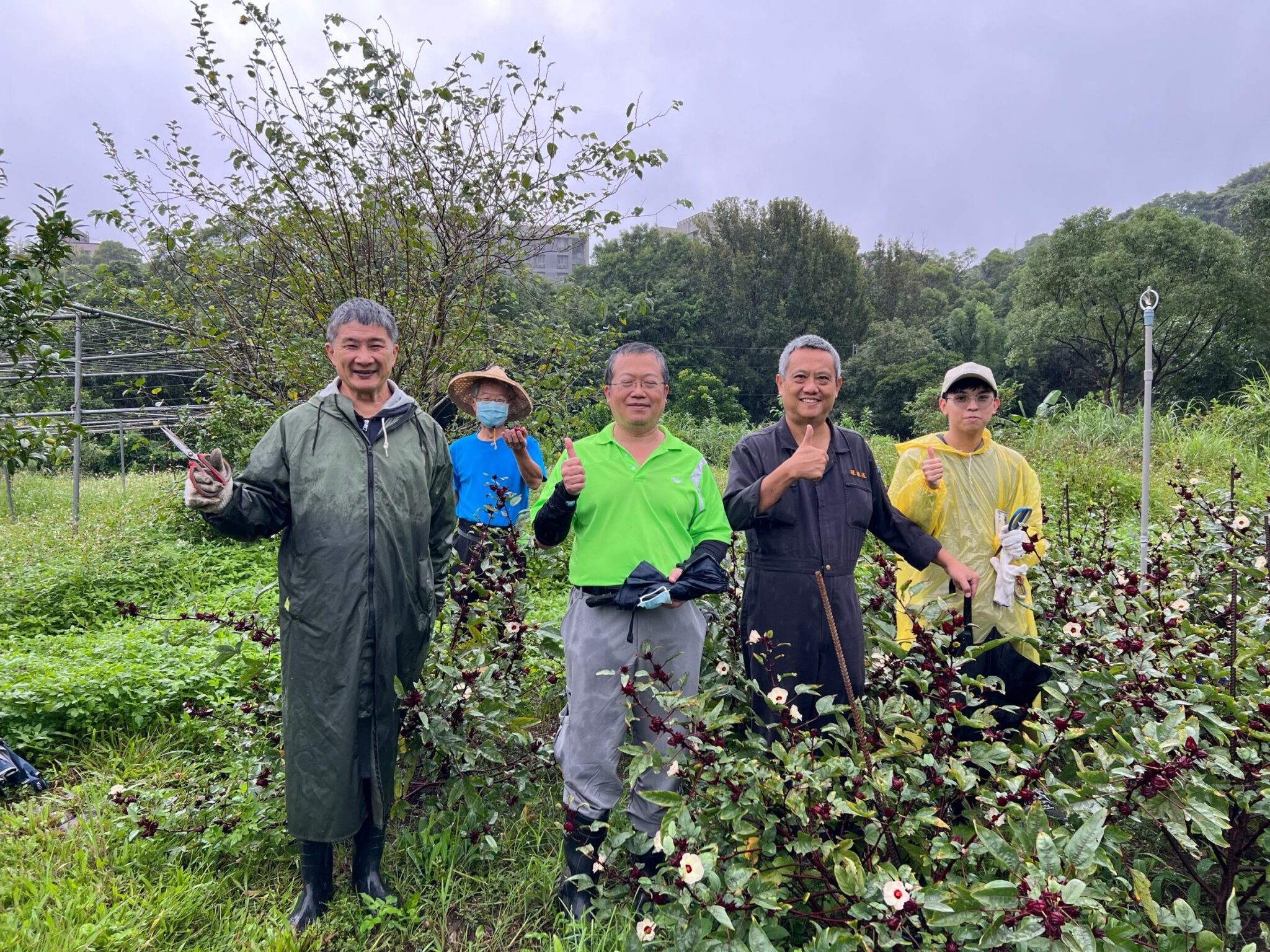 台北市民免費領！木柵廠月產120噸「環保堆肥」　廢棄廚餘化身園藝寶