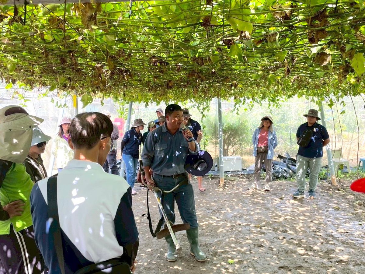 高雄市政府農業局推動百香果去藤觀摩實機上陣  採後清園輕鬆上手