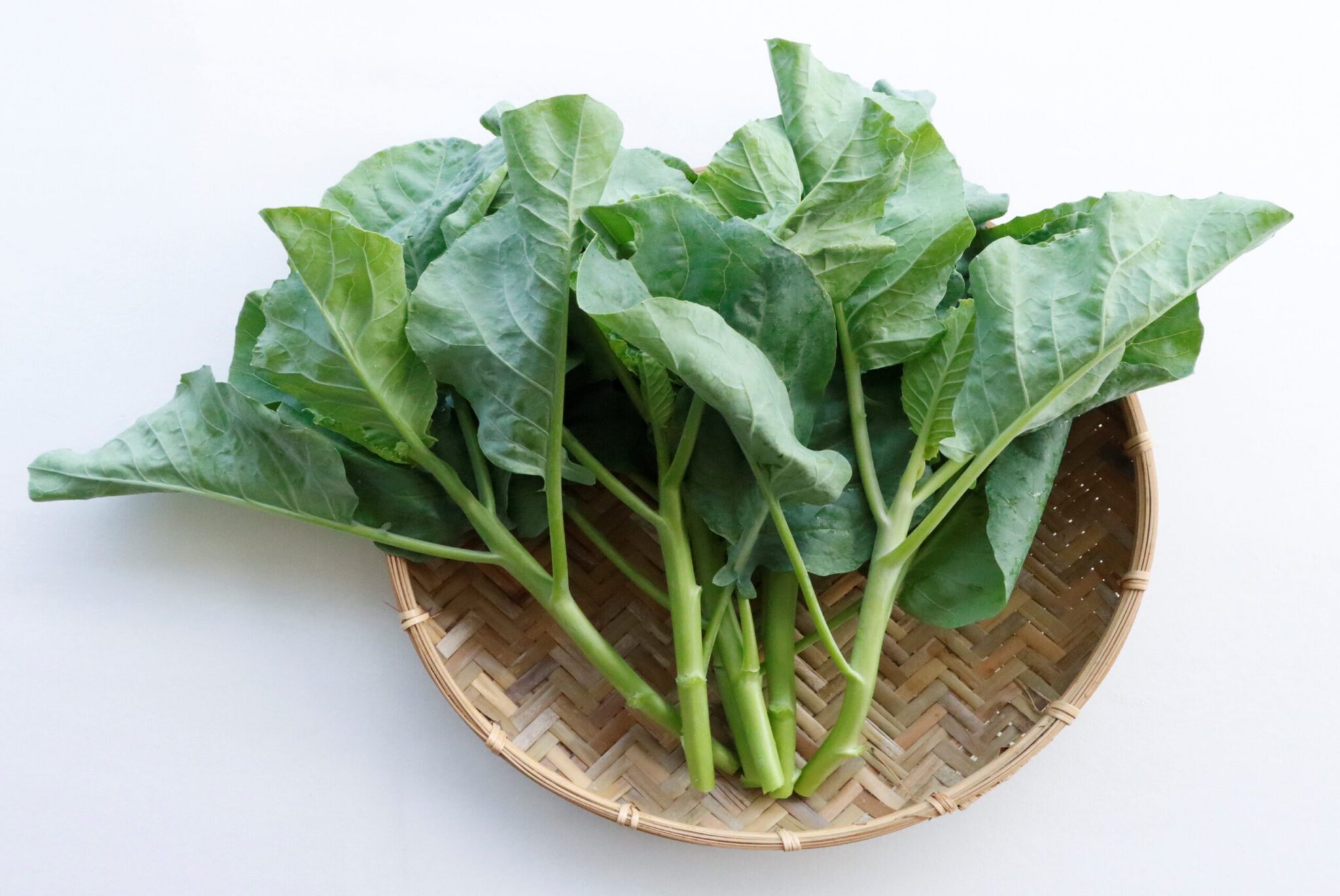 耐熱又耐濕！「芥藍臺南1號」新品種今夏上市