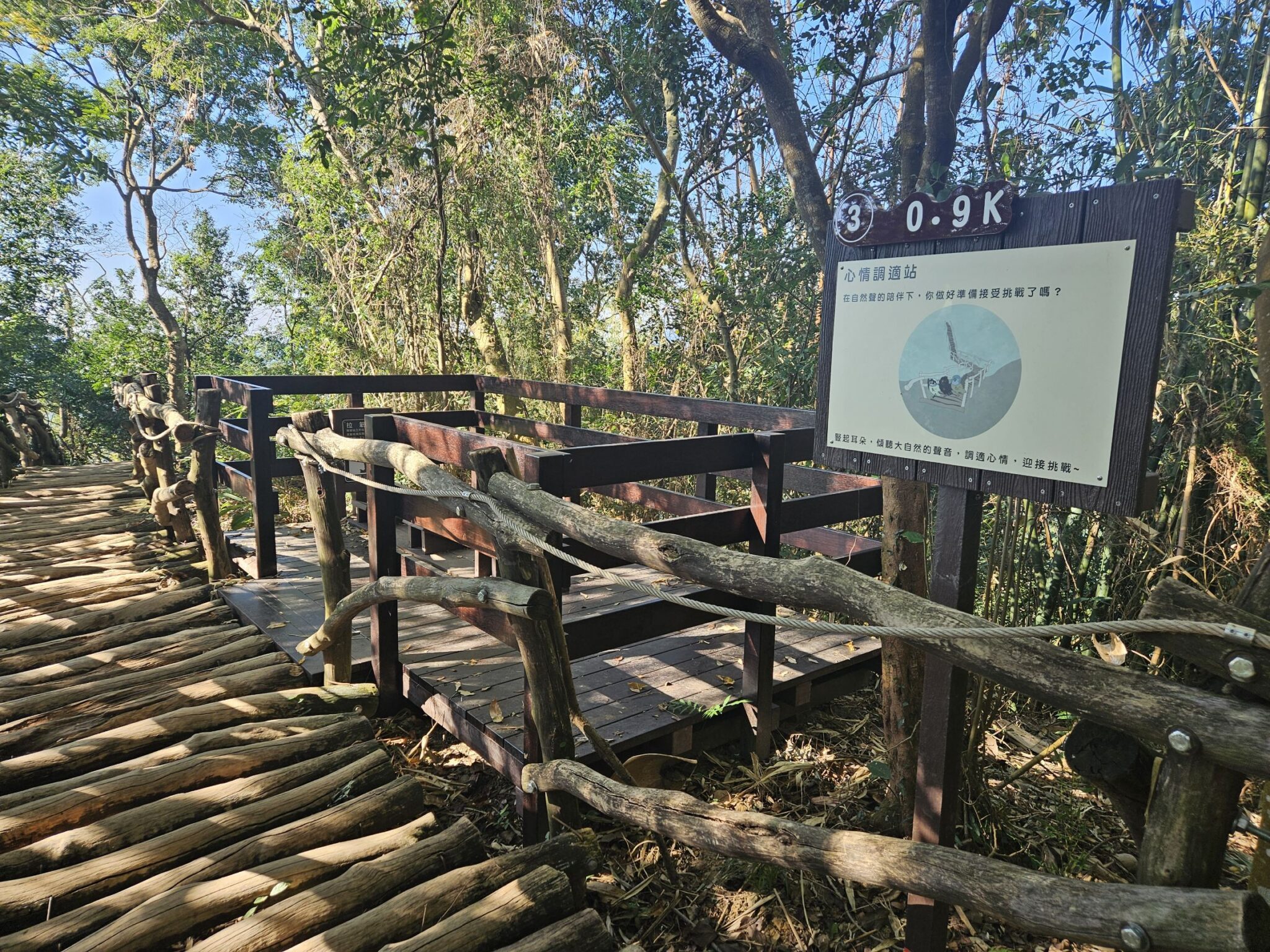 大坑東側登山步道完工升級 中市觀旅局力邀民眾探索特色步道 大坑東側登山步道完工升級 中市觀旅局力邀民眾探索特色步道