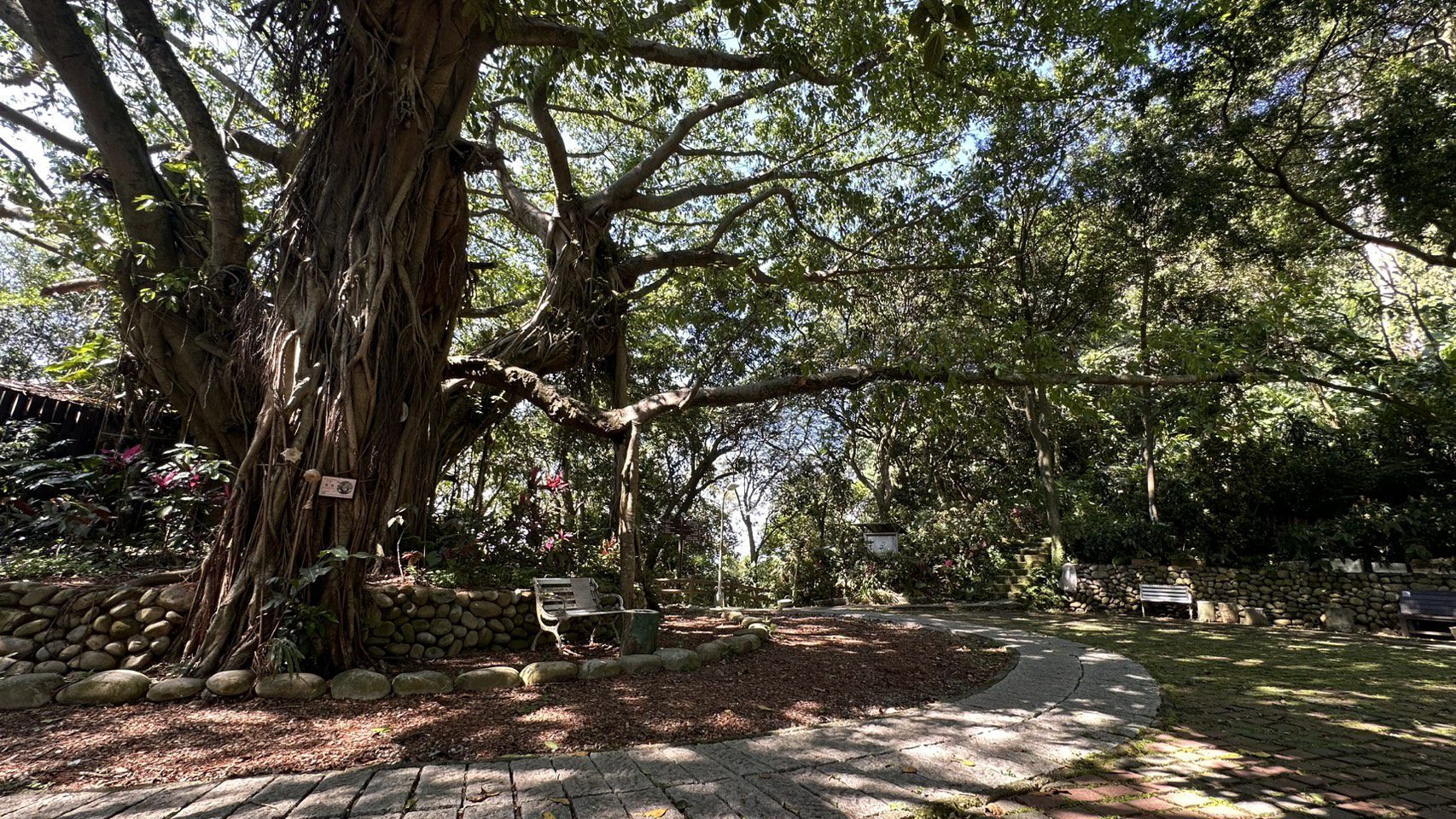新北微笑山線　百年榕園梵唱音樂會　6/14中和圓通寺療癒登場
