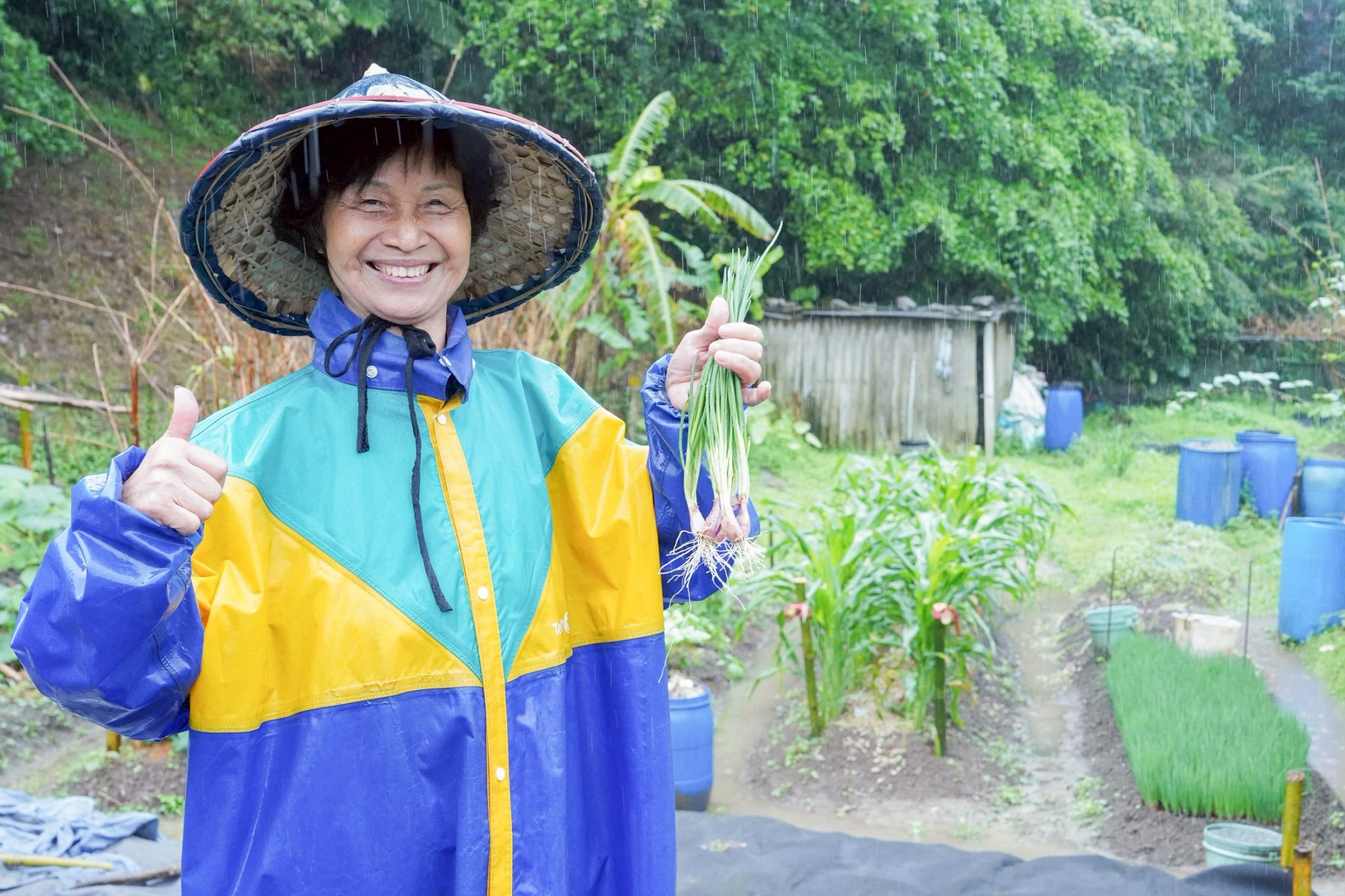 新北平溪珠蔥媽媽　  五分地耕出甘甜的珠蔥