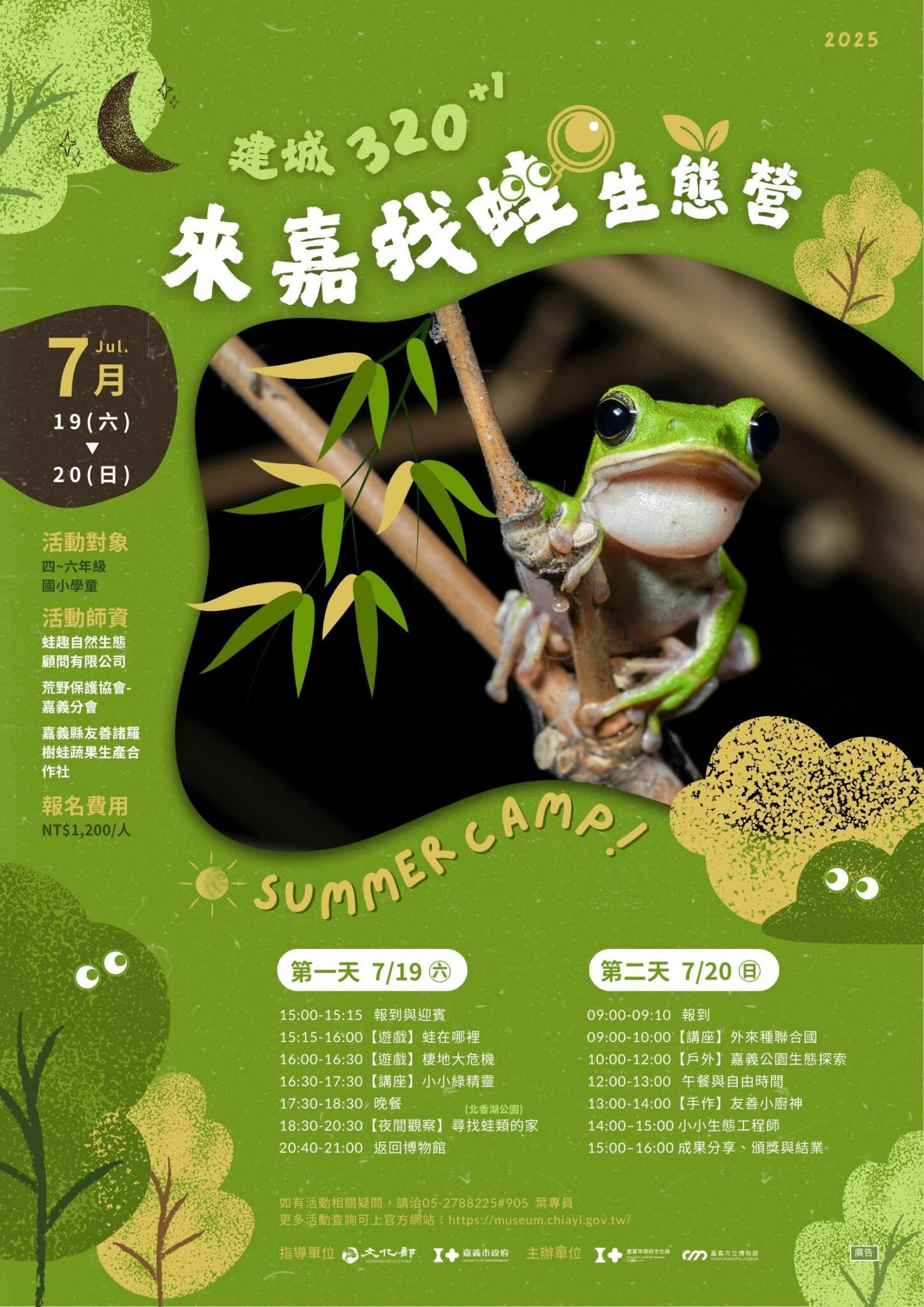 限額40人！嘉市博物館辦「來嘉找蛙」生態營　認識諸羅樹蛙魅力