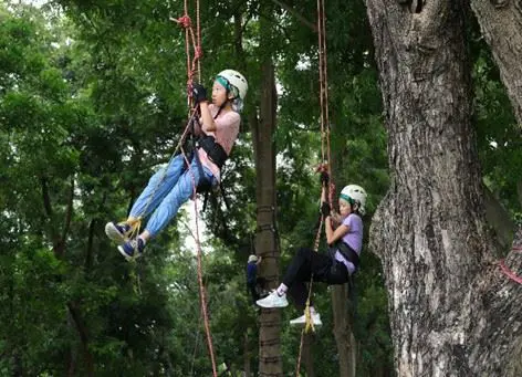 嘉有好市集11月22日登場　親子攀樹體驗17日開放報名