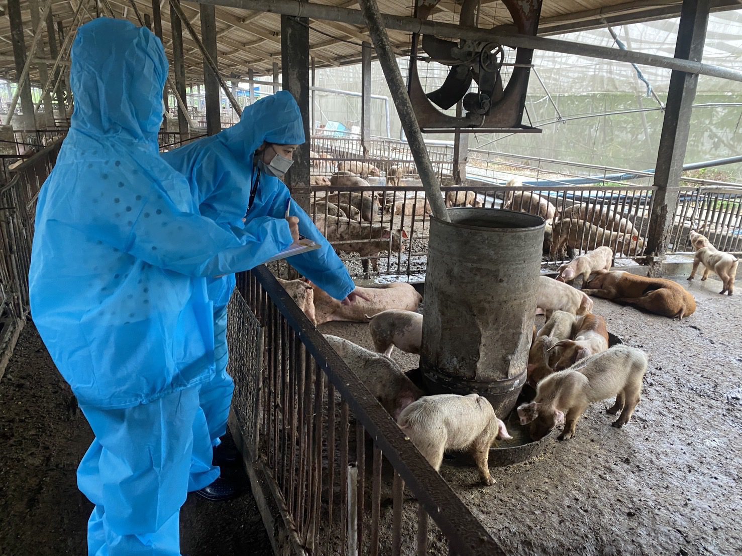 嘉義市啟動緊急防疫作為　全力守護市民餐桌安全