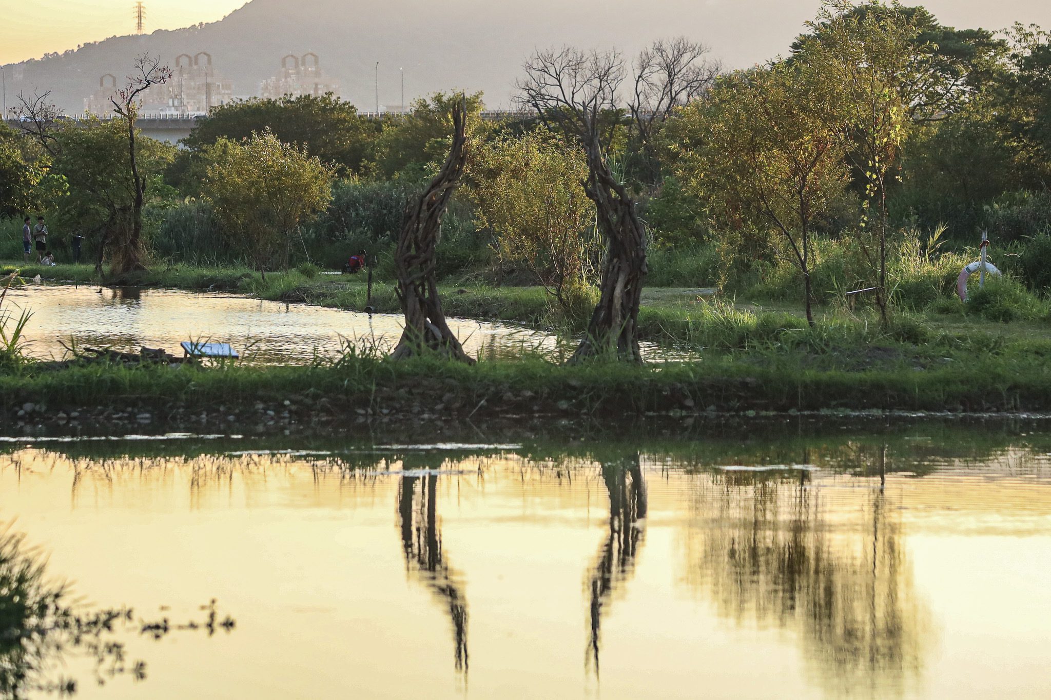 秋遊濕地最美打卡點!新北濕地藝術季引眾走入自然美術館 秋遊濕地最美打卡點!新北濕地藝術季引眾走入自然美術館