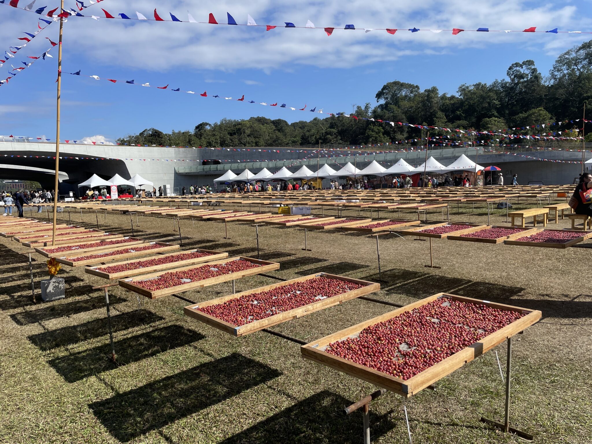 2025第二屆日月潭飲食生活節　12/6於向山遊客中心　盛大登場