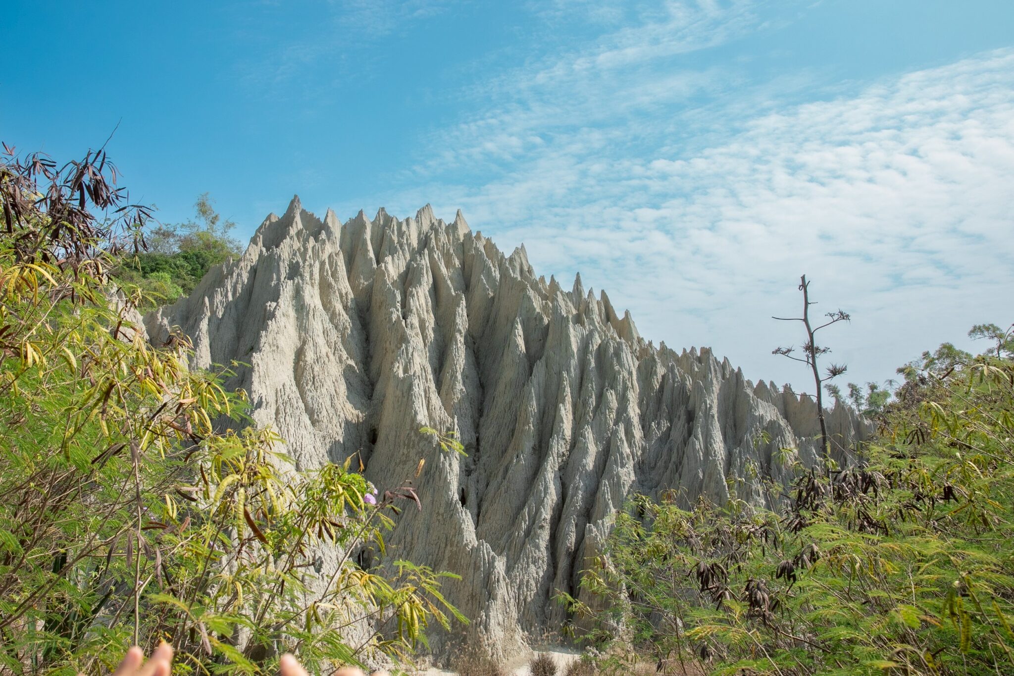 高雄海線探險趣　 11/23彌陀公園登場　闖關遊戲玩翻海線