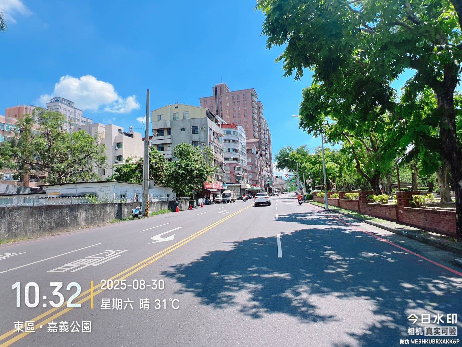 嘉義市府駁斥倒樹未清理謠言　已報警追查假消息來源