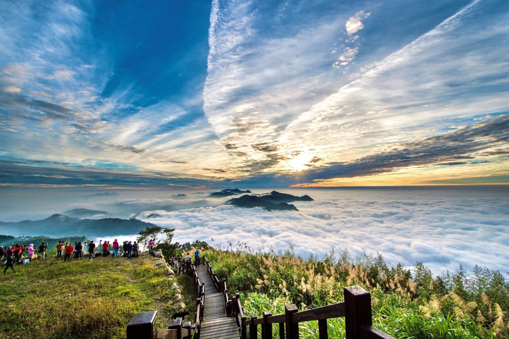 秋遊嘉義絕景！隙頂雲海步道、茶香公路漫旅