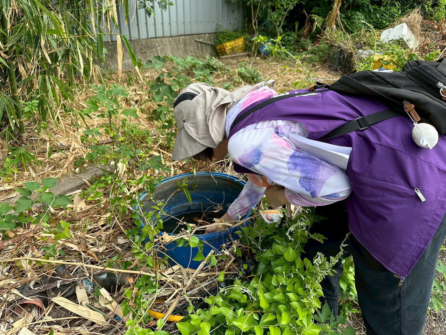 未清理積水容器導致孳生病媒蚊幼蟲 桃園衛生局：最重可罰1萬5