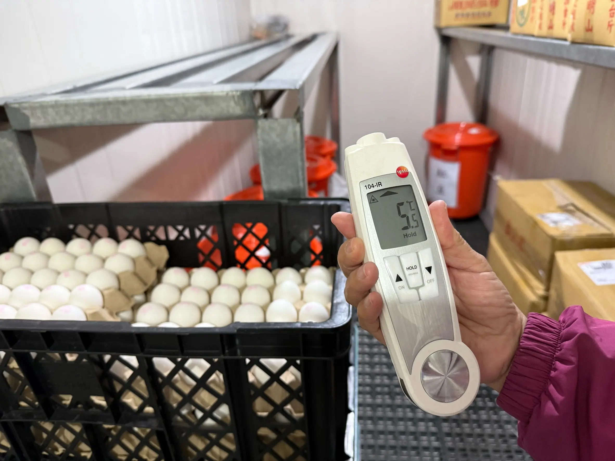 基隆學校午餐雞蛋溯源　查皆未使用農藥超標產品