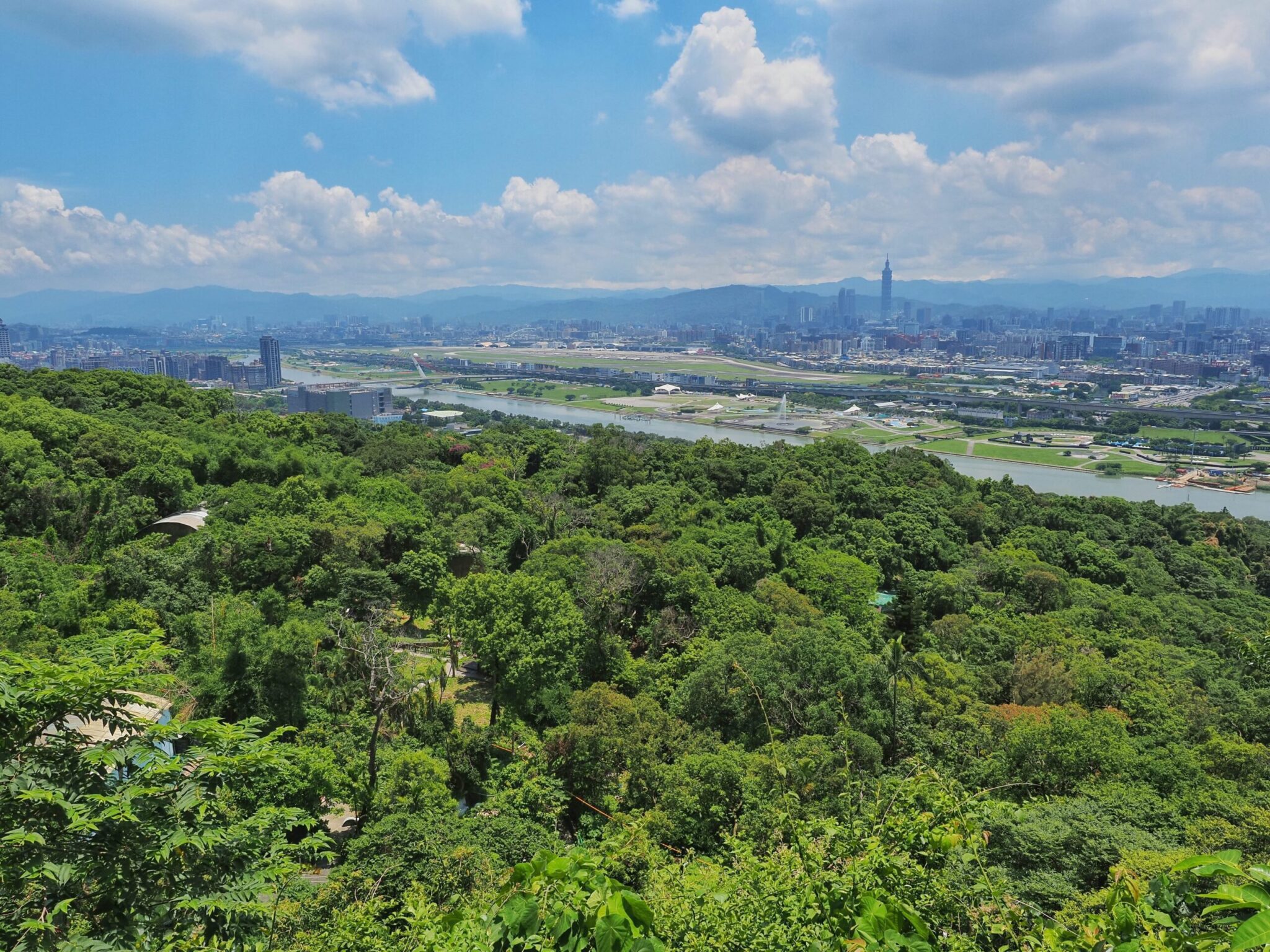 夏至樹影最長情！大地處邀您走入山林看見臺北綠亮點